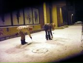 Фотография Фетисовой Наталии