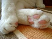 Фотография Гультяевой Татьяны