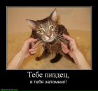 Фотография Ельтемерова Юры