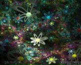 Фотография Плискина Паши