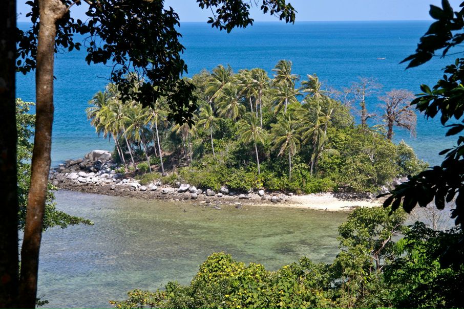 Дмитрий Тимофеев фото №5