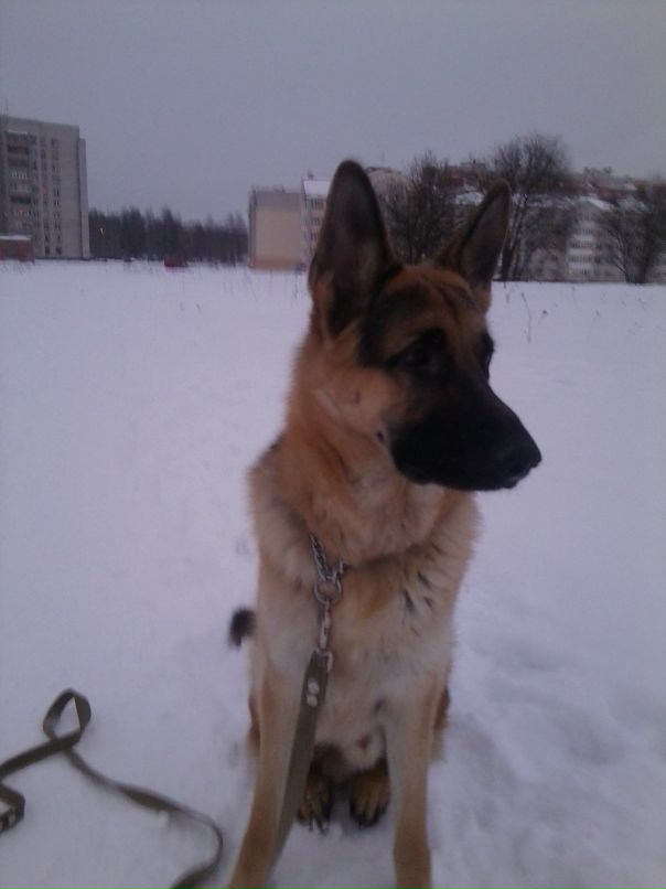 Андрей Кубышкин фотография #40