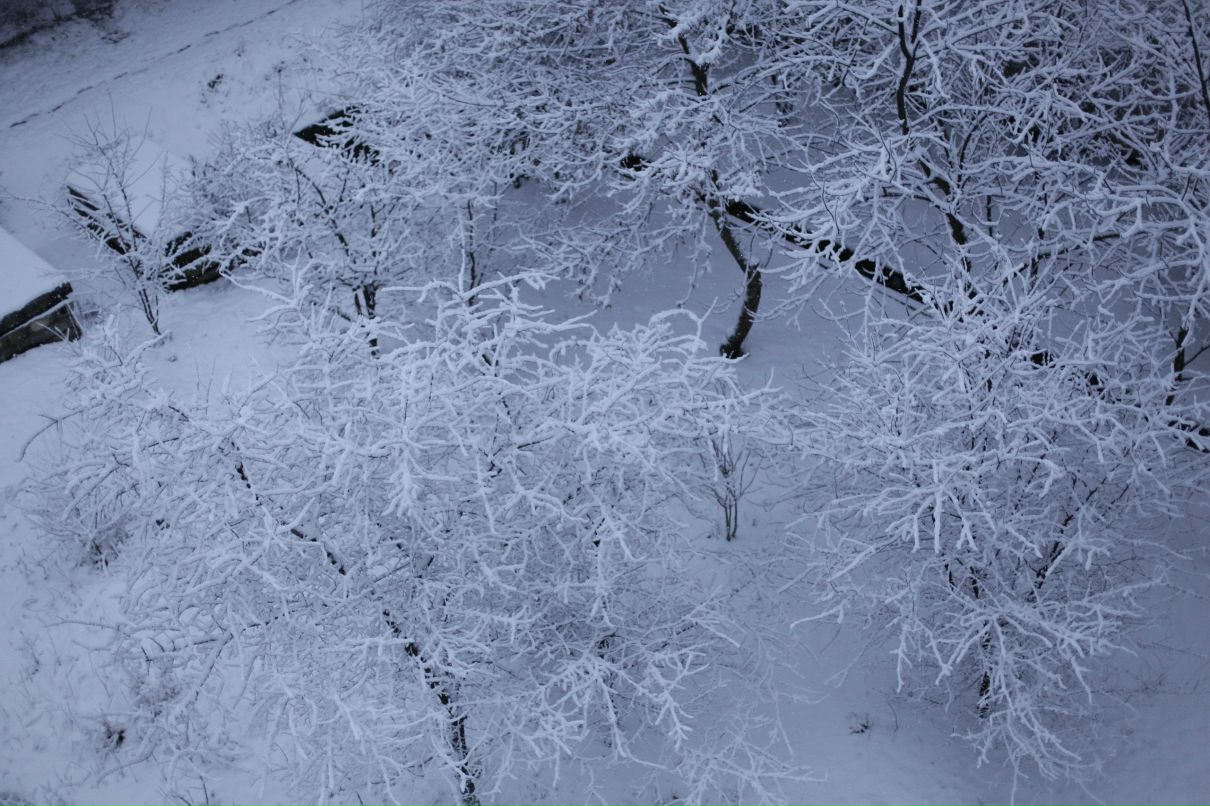 Артём Грачев фотография #24