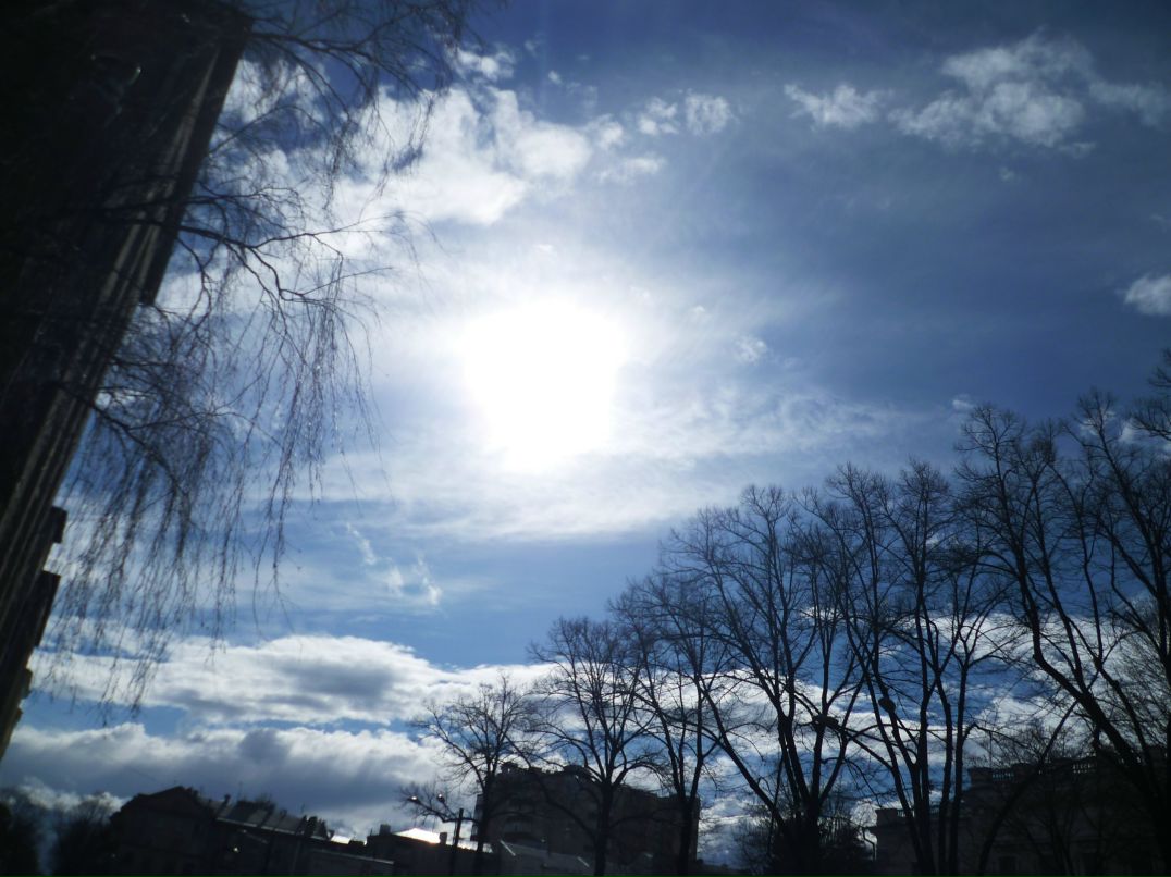 Dragon Fly фотография #48