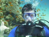 Фотография Никифорова Алексея