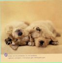 Надежда Белобородова фотография #35 (источник - https://vk.com/id8101189)