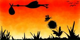 Ирина Кадочникова фотография #3 (источник - https://vk.com/id2496708)