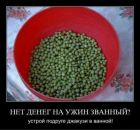 Владимир Кириленко фотография #10 (источник - https://vk.com/id1412364)