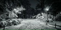 Фотография Обревко Екатерины