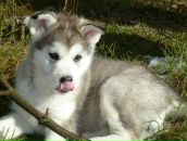 Слава Ткач фотография #34 (источник - https://vk.com/id689141)