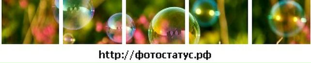 Аліна Бондар фотография #39 (источник - https://vk.com/id87918835)