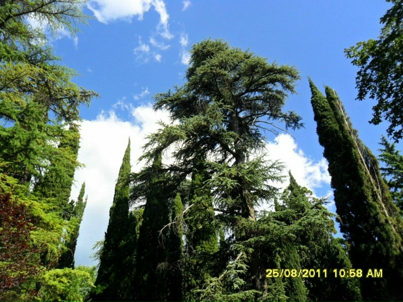 Виктор Андреев фото №15