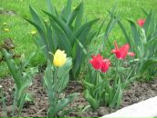 Віктор Бевза фотография #12 (источник - https://vk.com/id71881935)