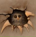 Фотография Куликовой Валентины