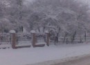 Надія Цвид фотография #16 (источник - https://vk.com/id44480295)