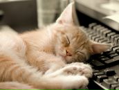 Фотография Докиной Ольги