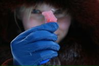 Фотография Карповой Анастасии