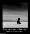 Фотография Торхова Алексея