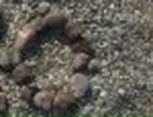 Тарас Кушнірук фотография #12 (источник - https://vk.com/id140468196)