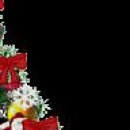 Міша Бридун фотография #11 (источник - https://vk.com/id155588417)