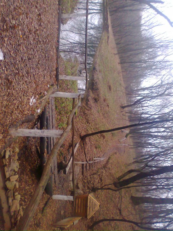 Славик Слесарев фотография #44