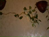 Фотография Стукаловой-Агаповой Ольги