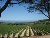 Ірина Бінцаровська фотография #2 (источник - https://vk.com/id3287587)