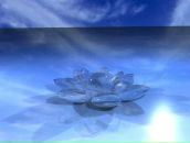 Фотография Boginsky Alex