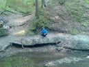 Аліса Чех фотография #1