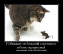 Сергій Мележик фотография #47 (источник - https://vk.com/id6452079)