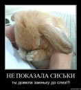Фотография Чепуркова Евгения