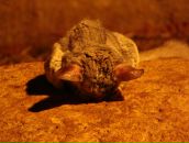 Фотография Мокровой Марии