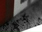 Міша Боднарчук фотография #16 (источник - https://vk.com/id68953720)