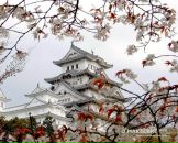 Фотография Беломестных Ирины