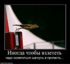 Фотография Сани Александра