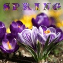 Фотография Гуровой Ани