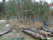 Андрій Казимірський фотография #48 (источник - https://vk.com/id68932420)