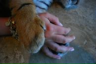 Фотография Гришко Ирины