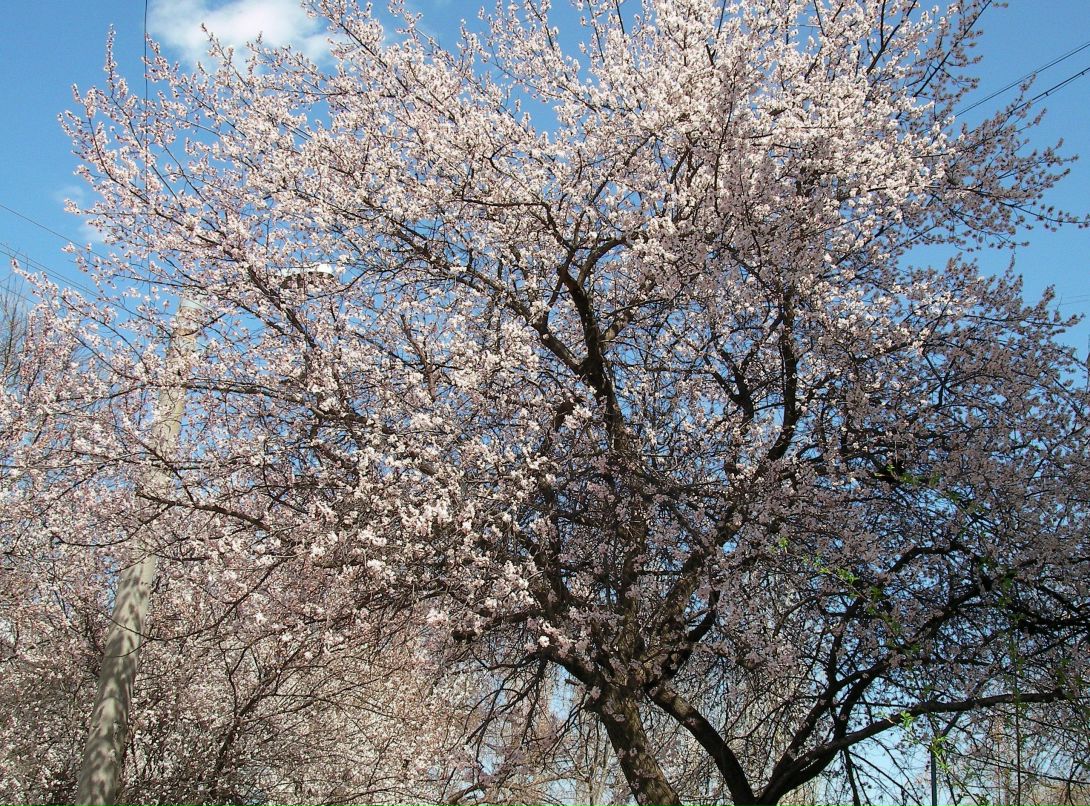 Сергей Моряхин фотография #50