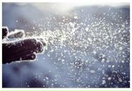 Алина Иванец фотография #40 (источник - https://vk.com/id59805437)