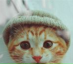 Фотография Давыдовой Анны