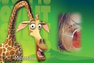 Іванна Карватюк фотография #10 (источник - https://vk.com/id94222466)