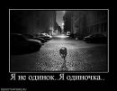 Білогаш Сергій фотография #48 (источник - https://vk.com/id32135284)