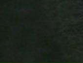 Вадім Кулiш фотография #18 (источник - https://vk.com/id60800196)