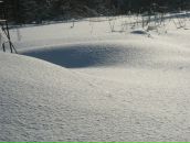 Иван Никулин фотография #47 (источник - https://vk.com/id755602)