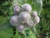 Галина Абрамчук фотография #24 (источник - https://vk.com/id8309770)