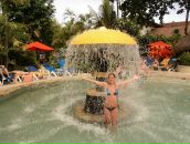 Фотография Смирнов Александр