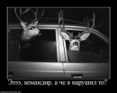 Юрій Дідик фотография #36 (источник - https://vk.com/id22192929)