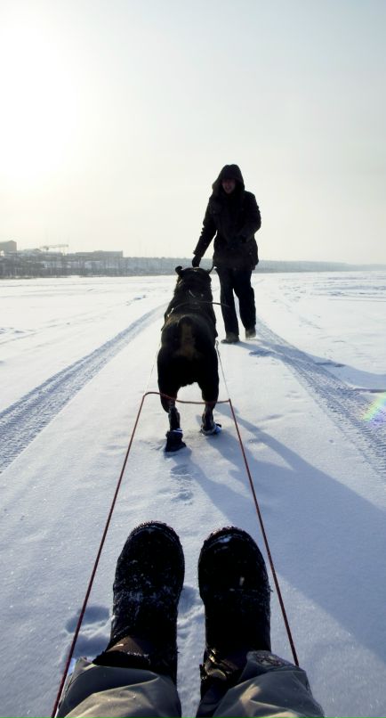 Юлия Буценко фотография #47